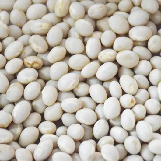 Navy (White Pea Beans)